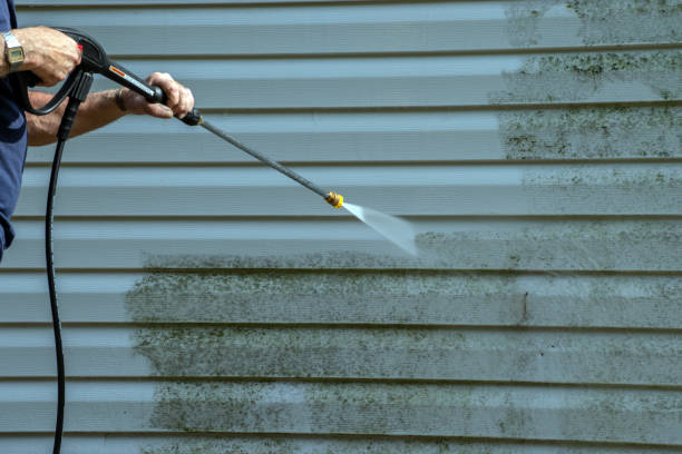 Best Patio and Deck Pressure Washing  in Birch Run, MI