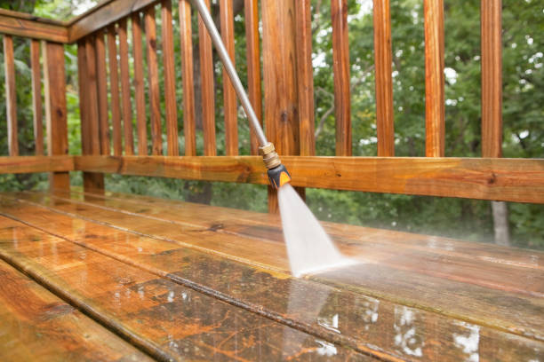 Best Sidewalk and Walkway Cleaning  in Birch Run, MI
