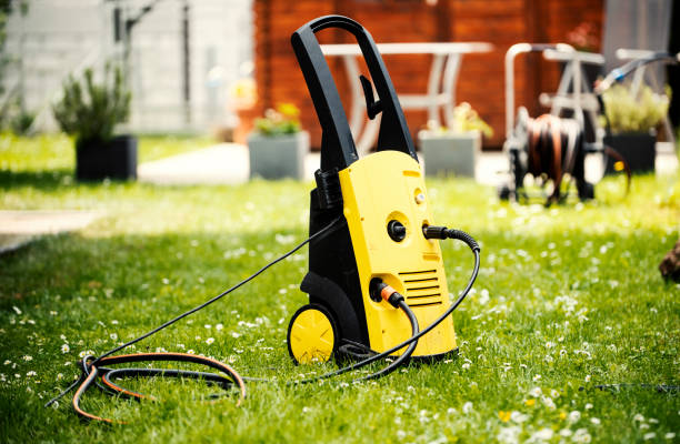 Best Roof Washing  in Birch Run, MI